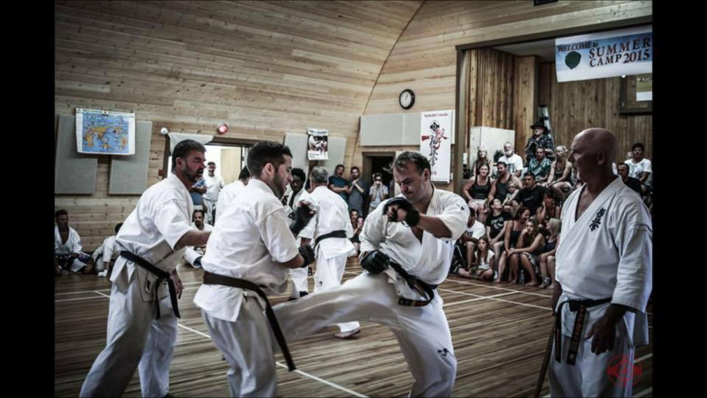 What Is Kyokushin Karate? Everything Edmonton Beginners Need to Know